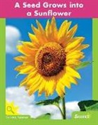 N/A, Nick Rebman - A Seed Grows Into a Sunflower