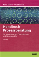 Mirj Anderl, Mirja Anderl, Uwe Reineck, Christian Ridder, Christian Ridder - Handbuch Prozessberatung