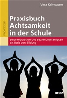 Vera Kaltwasser - Praxisbuch Achtsamkeit in der Schule