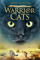 Erin Hunter, Friederike Levin - Warrior Cats - Der Ursprung der Clans. Der geteilte Wald