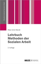 Peter-Ulrich Wendt - Lehrbuch Methoden der Sozialen Arbeit