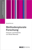 Nicole Burzan - Methodenplurale Forschung