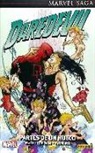 DAREDEVIL 02: PARTES DE UN HUECO