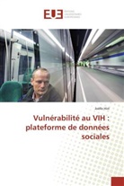 Joëlle Hist - Vulnérabilité au VIH : plateforme de données sociales