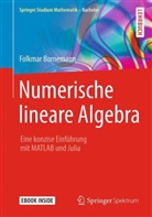 Folkmar Bornemann - Numerische lineare Algebra