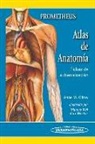 Anne Gilroy Prometheus - Atlas de anatomía : fichas de autoevaluación