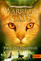 Erin Hunter, Friederike Levin - Warrior Cats, Die Macht der drei, Fluss der Finsternis