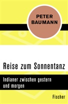 Peter Baumann - Reise zum Sonnentanz