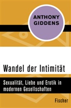 Anthony Giddens - Wandel der Intimität