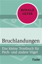 Ronald Geyer - Bruchlandungen