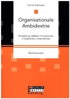 Farid Edrisian - Organisationale Ambidextrie. Umsetzung radikaler Innovationen in etablierten Unternehmen