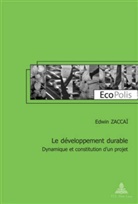Edwin Zaccai, Edwin Zaccaï - Le développement durable