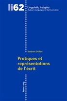 Sandrine Onillon - Pratiques et représentations de l'écrit