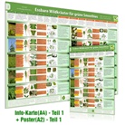 Samuel Cremer, Alfred Zenz - [2er Set] Essbare Wildkräuter für Grüne Smoothies Teil 1 Wissenskarte (A4) & Wandposter (A2), m. 1 Karte, m. 1 Beilage, m. 1 Beilage. Tl.1