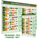 Samuel Cremer, Alfred Zenz - [2er Set] Essbare Wildkräuter für Grüne Smoothies Teil 2 - Erkennungskarte (A4) & Wandposter (A2), m. 1 Karte, m. 1 Beilage, m. 1 Beilage. Tl.2