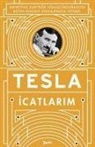 Nikola Tesla - Icatlarim