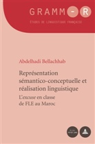 Abdelhadi Bellachhab - Représentation sémantico-conceptuelle et réalisation linguistique