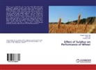 Pankaj Kumar, Avinash Kuma Rai, Avinash Kumar Rai, Sumi Rai, Sumit Rai - Effect of Sulphur on Performance of Wheat