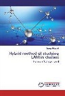 George Pitsevich - Hybrid method of studying LAM in clusters