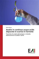 Marta Boito - Analisi in continuo acque acide depurate in scarico in torrente