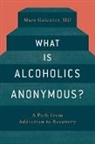 Marc Galanter, Marc (CON) Galanter, Professor of Psychiatry and Director of Division of Alcoholism and Drug Abuse Marc Galanter - What Is Alcoholics Anonymous?