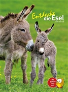 Judith Schmidt - Entdecke die Esel
