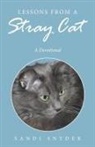 Sandi Snyder - Lessons from a Stray Cat