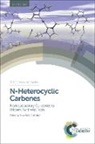 Yonggui Robin Chi, Silvia Diez-Gonzalez, Silvia (Imperial College London Diez-Gonzalez, Lutz Gade, Fritz Kuhn, Matthew Sigman... - N-Heterocyclic Carbenes
