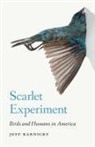 Jeff Karnicky, Jeffrey Karnicky - Scarlet Experiment