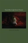 Jennifer Allora - Allora & Calzadilla: Puerto Rican Light