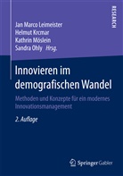 Helmu Krcmar, Helmut Krcmar, Jan Marco Leimeister, Kathrin Möslein, Kathrin Möslein u a, Sandra Ohly - Innovieren im demografischen Wandel