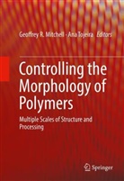 Geoffrey R. Mitchell, Geoffre R Mitchell, Geoffrey R Mitchell, Tojeira, Tojeira, Ana Tojeira - Controlling the Morphology of Polymers