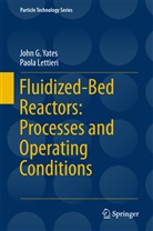 P Lettieri, P. Lettieri, Paola Lettieri, J G Yates, J. G. Yates, John Yates... - Fluidized-Bed Reactors: Processes and Operating Conditions
