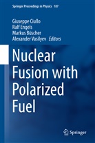 Markus Büscher, Markus Büscher et al, Giuseppe Ciullo, Ral Engels, Ralf Engels, Alexander Vasilyev - Nuclear Fusion with Polarized Fuel