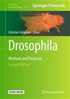 Christia Dahmann, Christian Dahmann - Drosophila