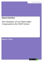 Edward Hamilton - The Chemistry of Low Valent Sulfur Compounds in the S-H2O System