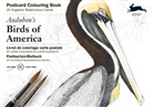 pepin Press, Pepin van Roojen, Pepin Van Roojen - Postcard Colouring Book - Audubon - Birds of America