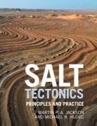 Michael R. Hudec, Michael R. (University of Texas Hudec, Hudec Michael R., M. P. A. Jackson, Martin Jackson, Martin Hudec Jackson... - Salt Tectonics
