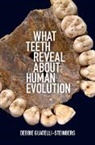 Debbie Guatelli-Steinberg, Debbie (Ohio State University) Guatelli-Steinberg, Guatelli-Steinberg Debbie - What Teeth Reveal About Human Evolution