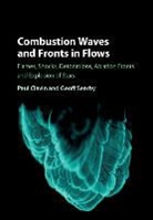 Paul Clavin, Paul (Universite d'Aix-Marseille) Clavin, Paul (Universite D''aix-Marseille) Searby Clavin, Paul Searby Clavin, Clavin Paul, Geoff Searby... - Combustion Waves and Fronts in Flows