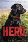 Jennifer Li Shotz, Shotz Jennifer Li - Hero