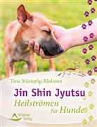 Tina Stümpfig-Rüdisser - Jin Shin Jyutsu