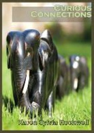 Karen Sylvia Rockwell, Karen Sylvia Rockwell - Curious Connections