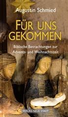 Augustin Schmied - Für uns gekommen