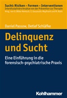 Danie Passow, Daniel Passow, Detlef Schläfke, Oliver Bilke-Hentsch, Euphrosyn Gouzoulis-Mayfrank, Euphrosyne Gouzoulis-Mayfrank... - Delinquenz und Sucht
