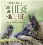 Tanja Brandt - Wo die Liebe hinfliegt