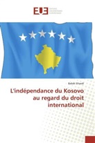 Babak Ghaedi - L'indépendance du Kosovo au regard du droit international
