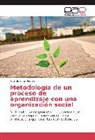 Ricardo Silva Huerta - Metodología de un proceso de aprendizaje con una organización social