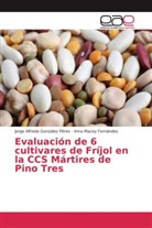 Irma Mace Fernández, Irma Macey Fernández, Jorge Alfred González Pérez, Jorge Alfredo González Pérez - Evaluación de 6 cultivares de Fríjol en la CCS Mártires de Pino Tres