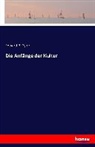 Edward B Tylor, Edward B. Tylor - Die Anfänge der Kultur